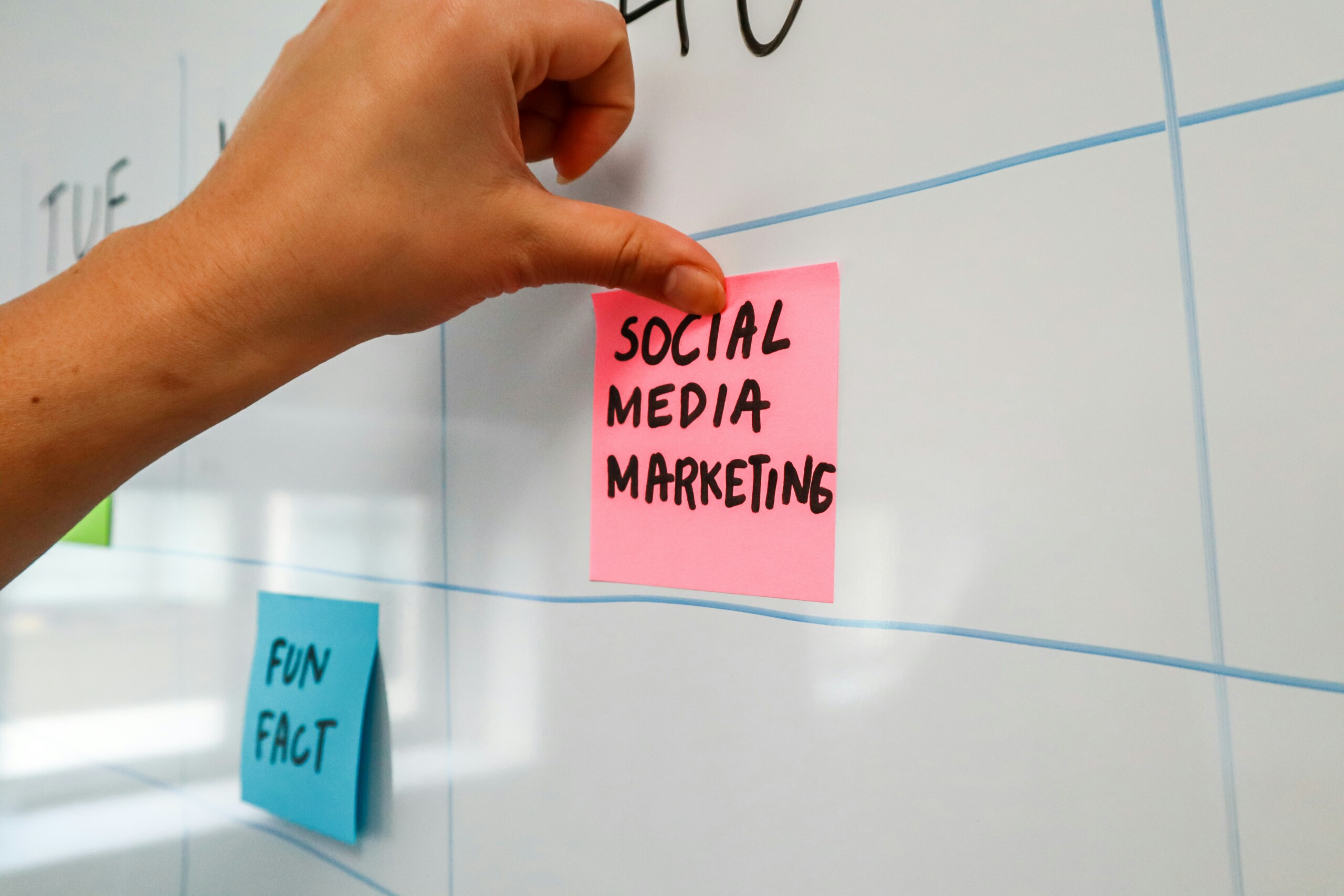 Digital marketing consulting strategy session with BRINQQ experts